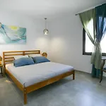 Duplex Calypso 科斯塔特吉塞